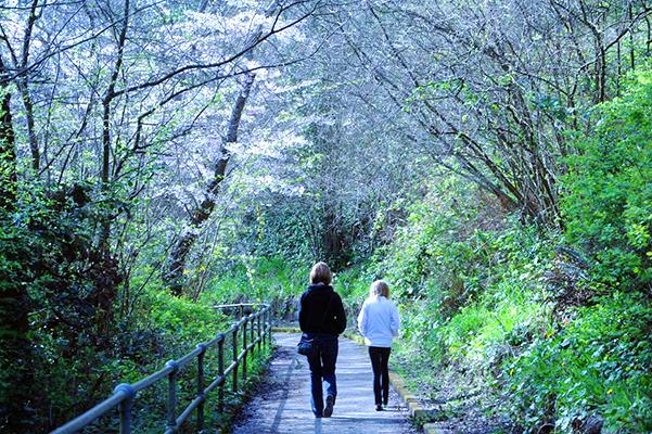 2 people in the forest